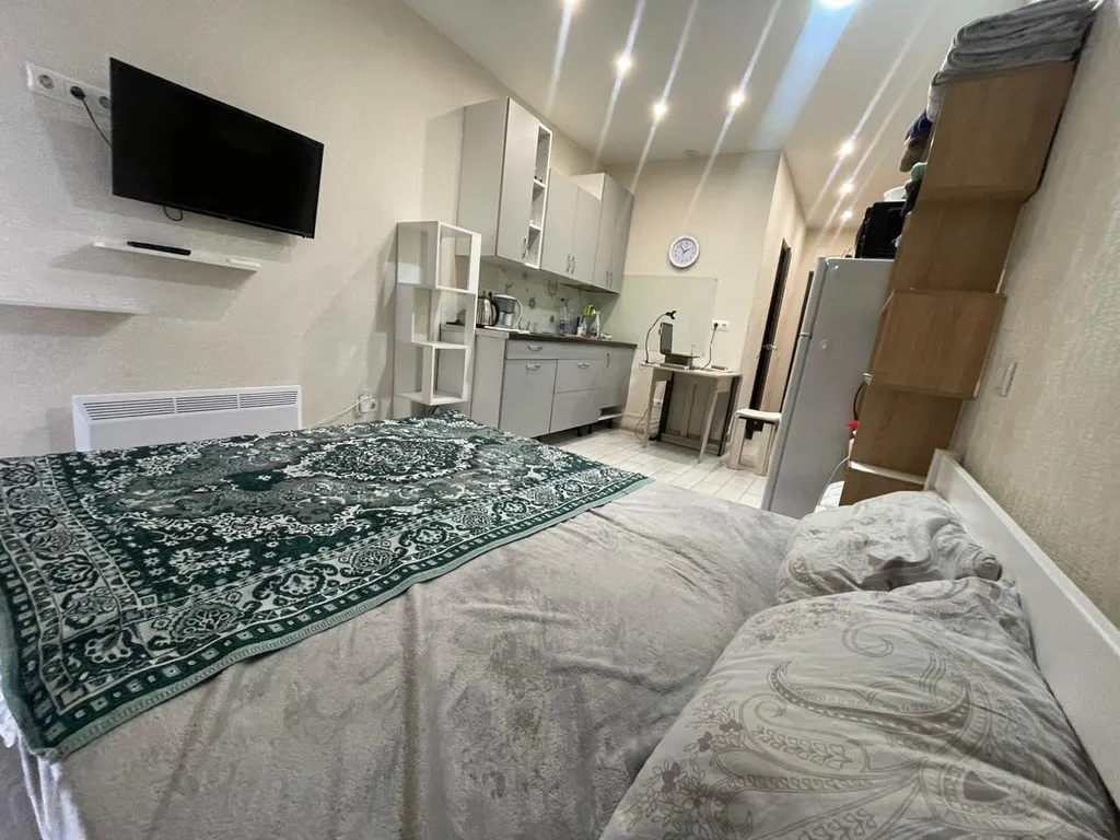 Квартира 1-комнатная Квартира — Сириус