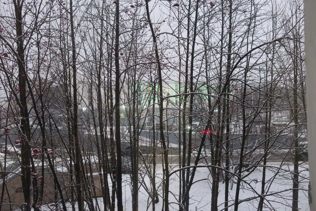 Самый Центр