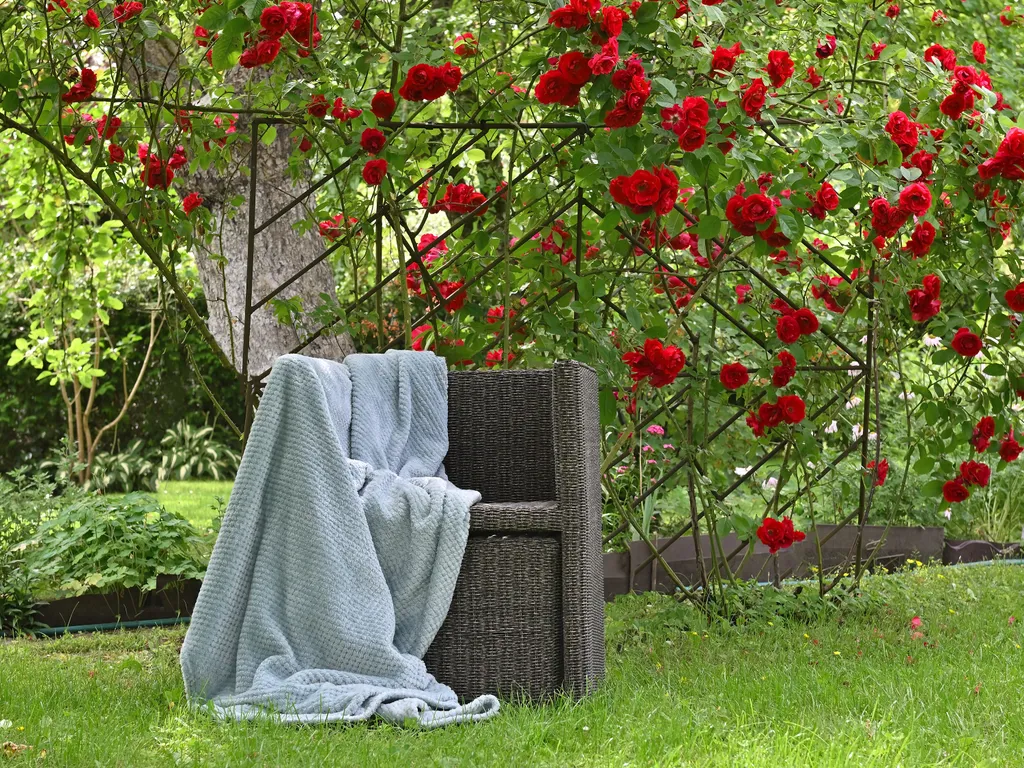 Немецкий дом с садом