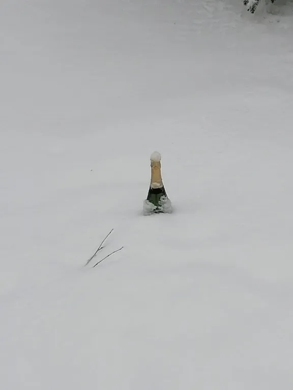 Загородный дом в стиле шале