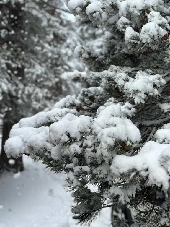 Коттедж Домик с видом на горы — Архыз