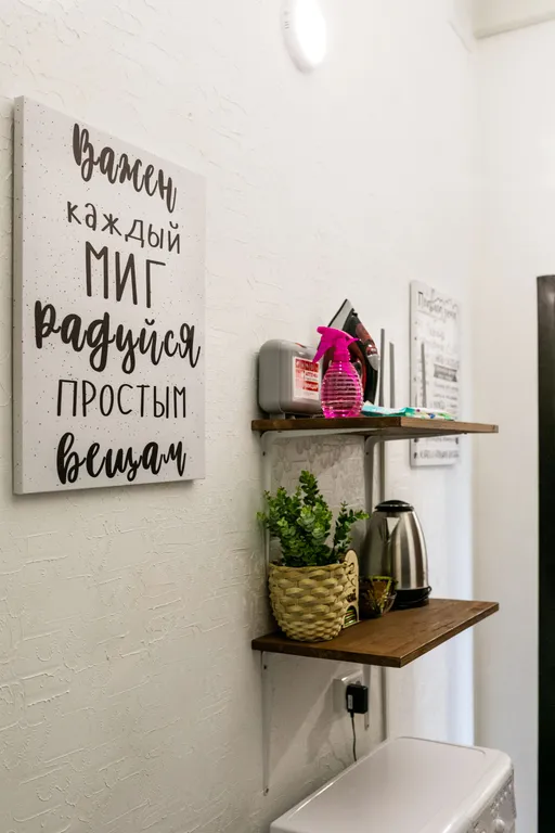 Студия рядом с зоопарком III