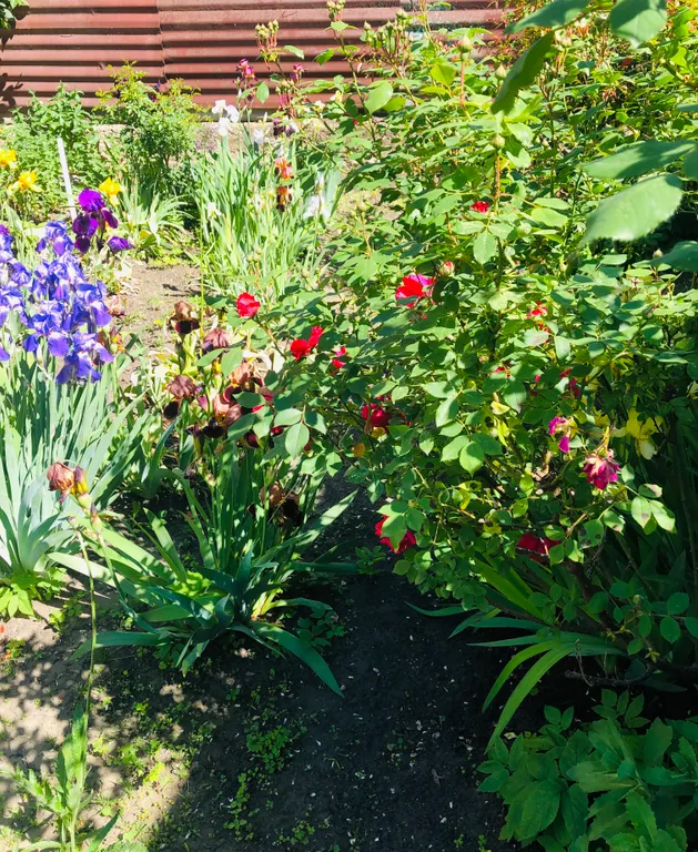 Коттедж Дом в классическом стиле — Кисловодск