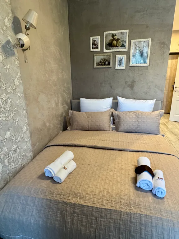 Охта прованс с биокамином и ванной комнатой