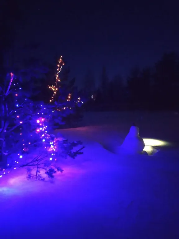 Боровики Хаус дом с камином