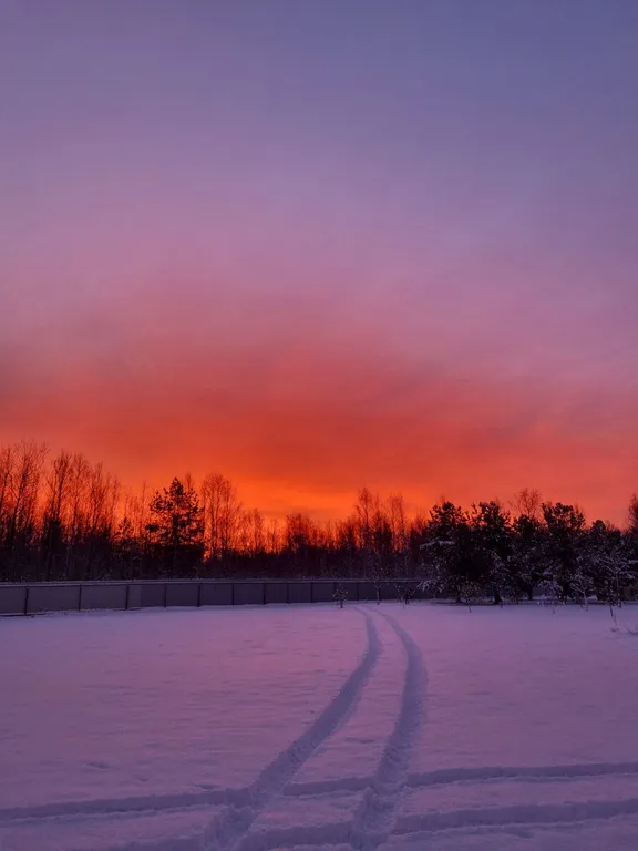Загородный дом в национальном заповеднике