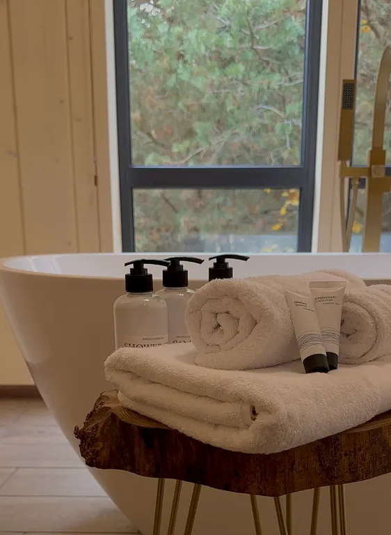 Дом с сауной и купелью в Подмосковье