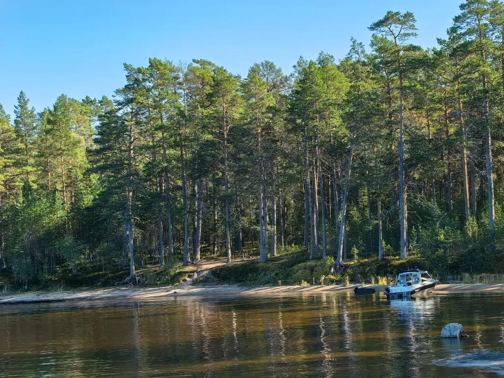 Коттедж Коттедж Заонежье — Великая Губа