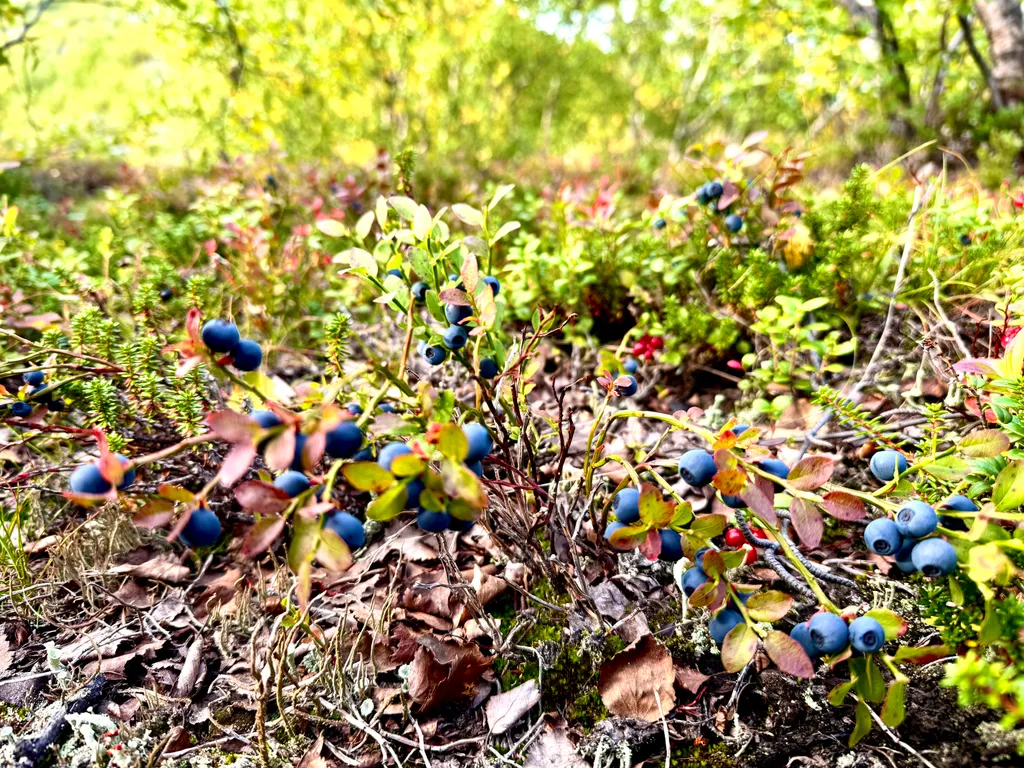 Уютный двухэтажный дом в окружении природы