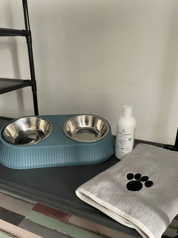 Уютная студия догфрендли в современном доме с лифтом