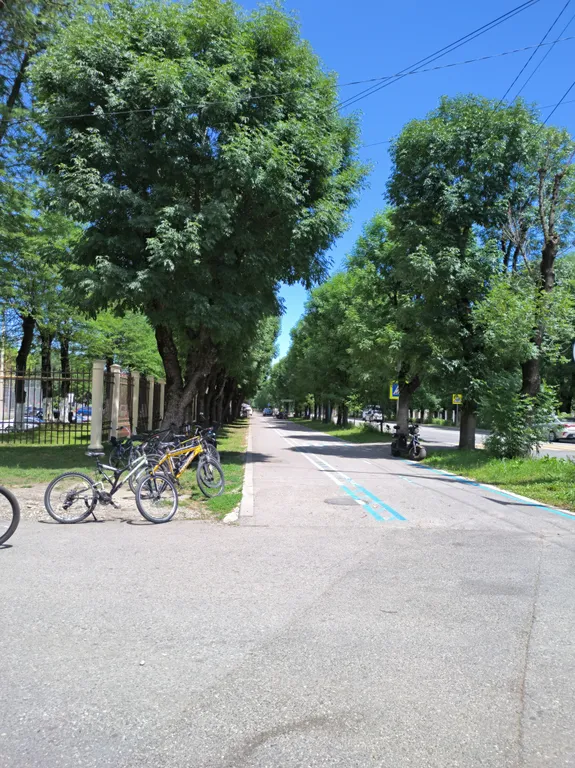 Жилье в центре парка