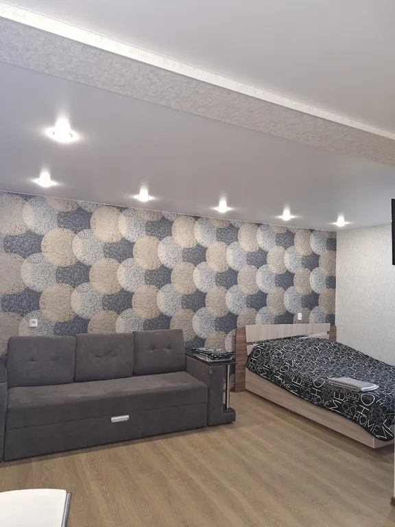 Уютная студия в центре города