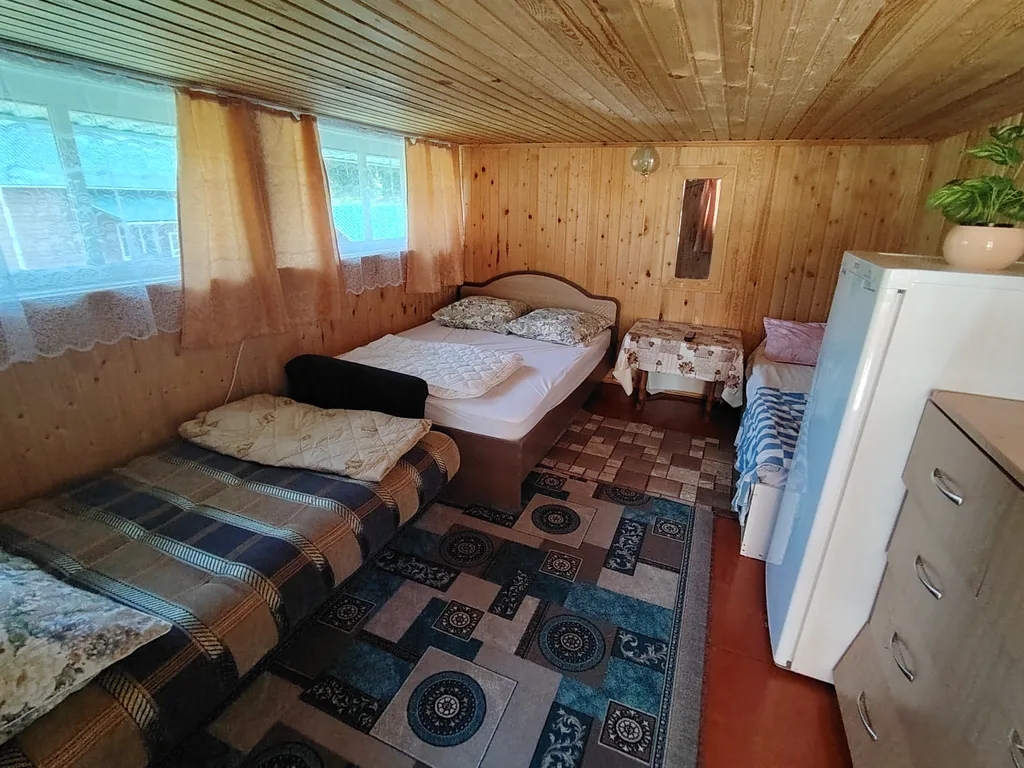 Летний номер с видом на березовый лес