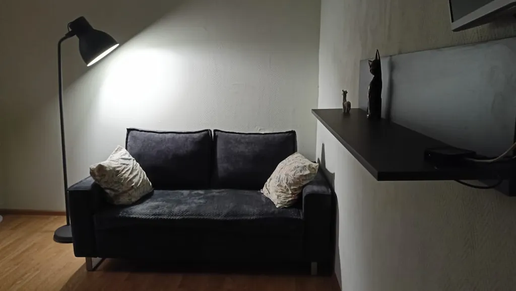 Уютная просторная квартира