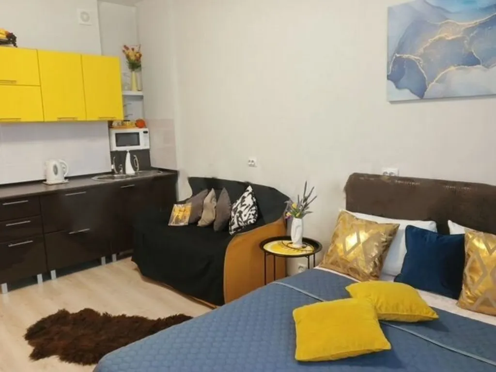 Студия в центре