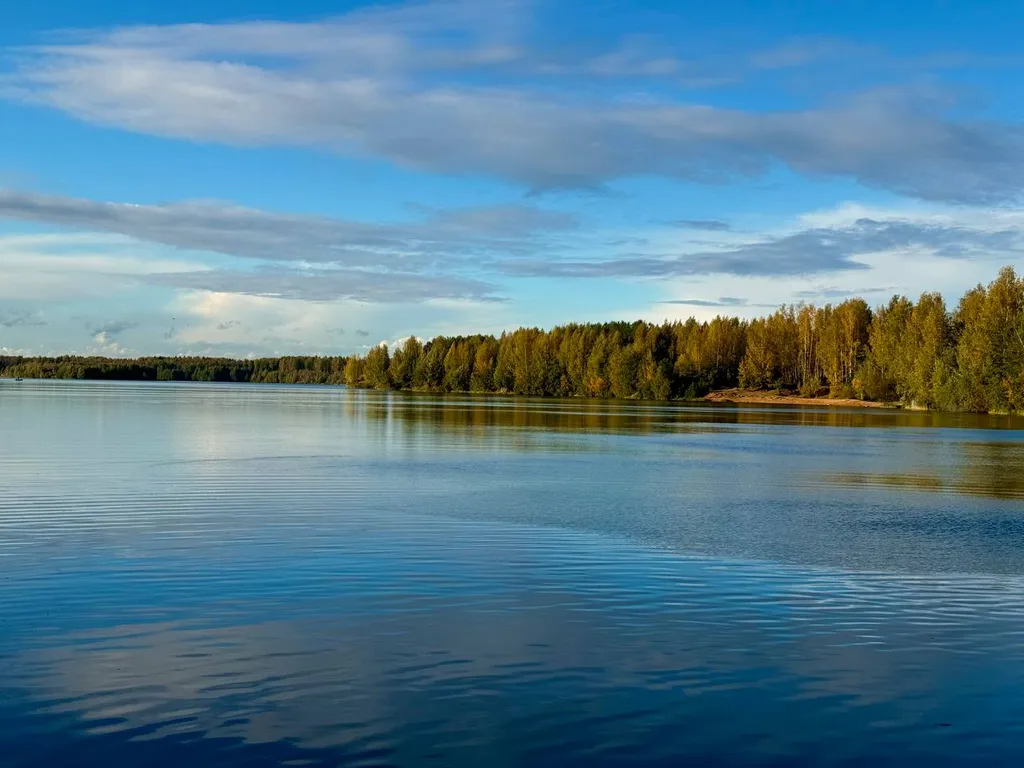 Коттедж Новый коттедж с видом на лес и в трех минутах от озера — Мга