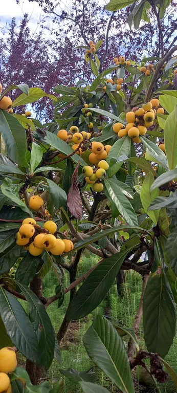 Дом возле моря