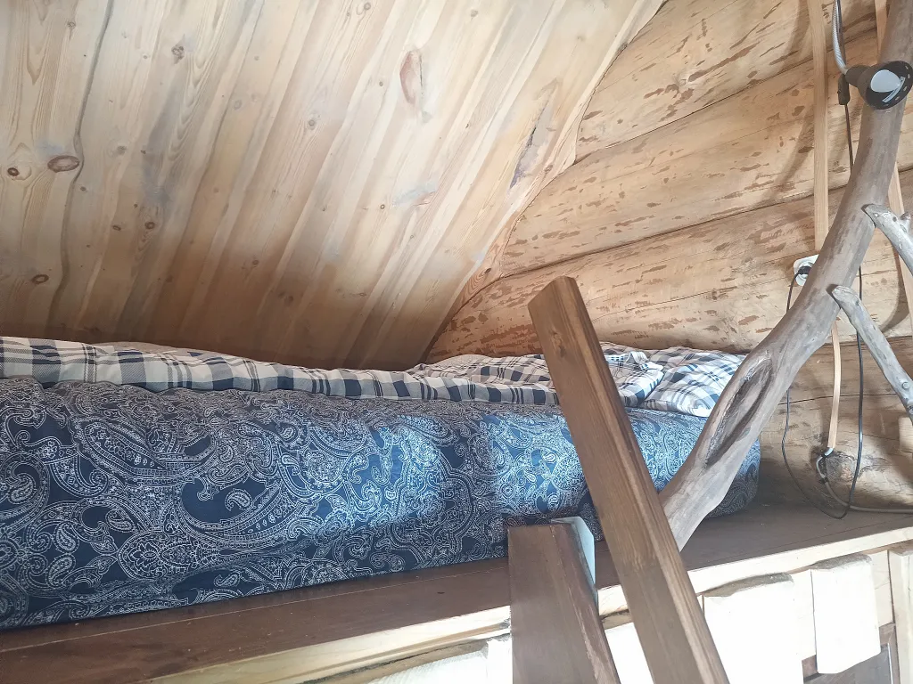 Шале из большого бревна