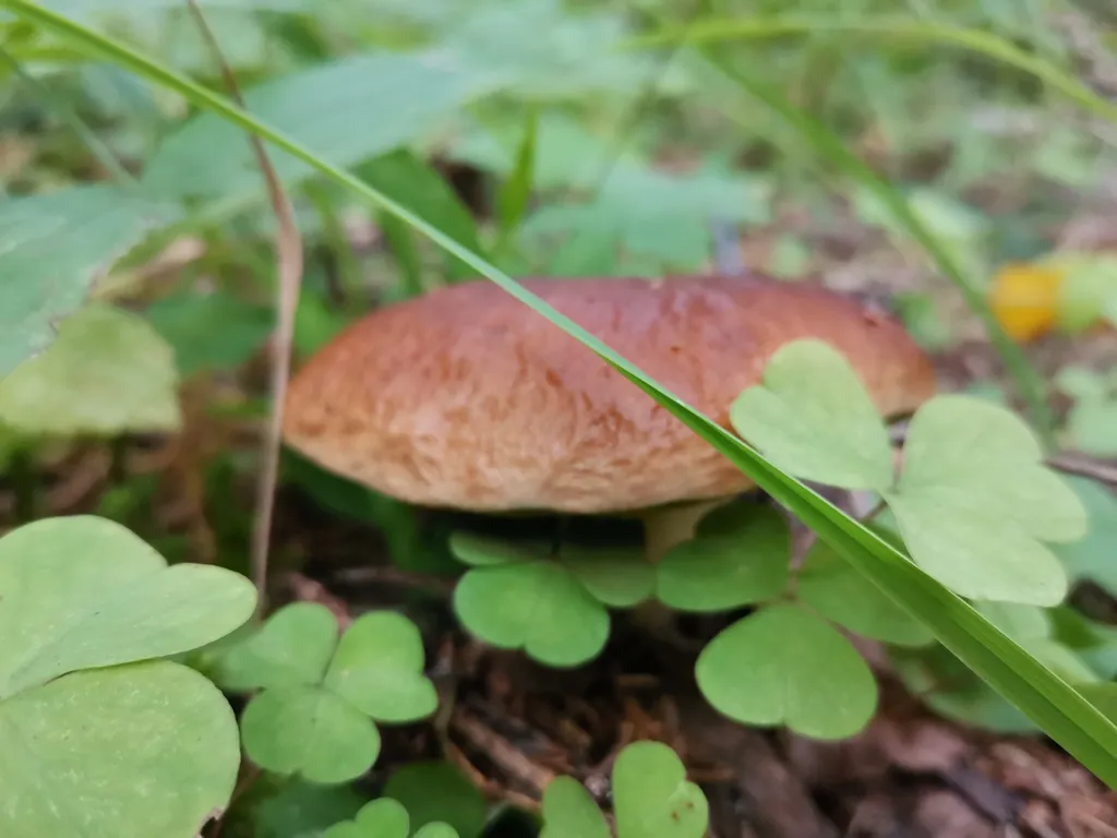 Большой дом на Валдае
