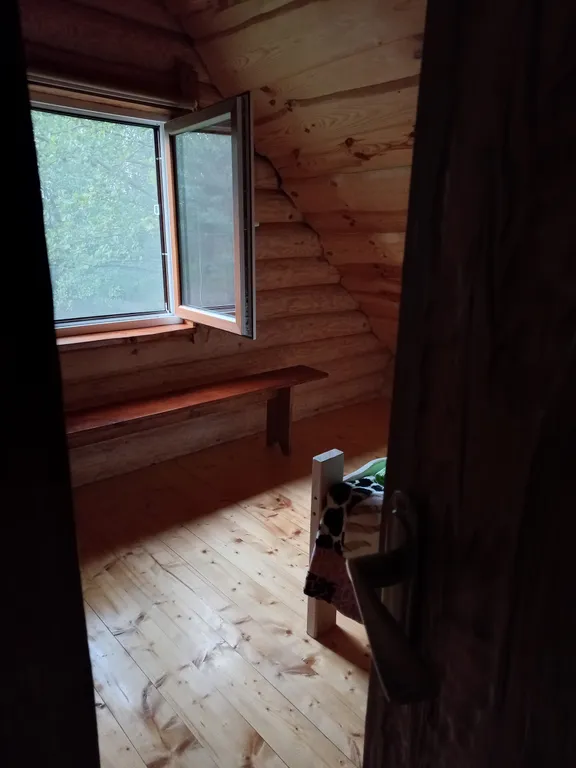 Деревянный дом в лесу рядом с рекой