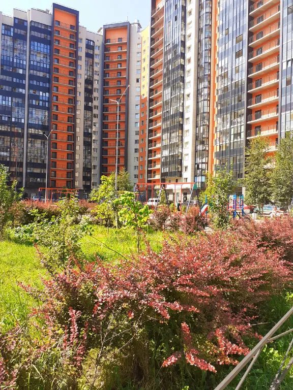 Новая стильная студия для двоих