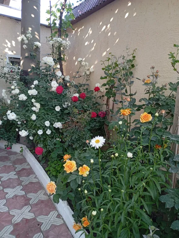 Коттедж Дом с отдельным входом в частном секторе города с мангалом — Махачкала