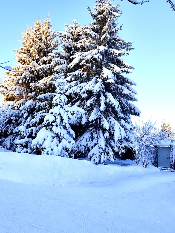 Коттедж Коттедж Северный рай — Кавголово