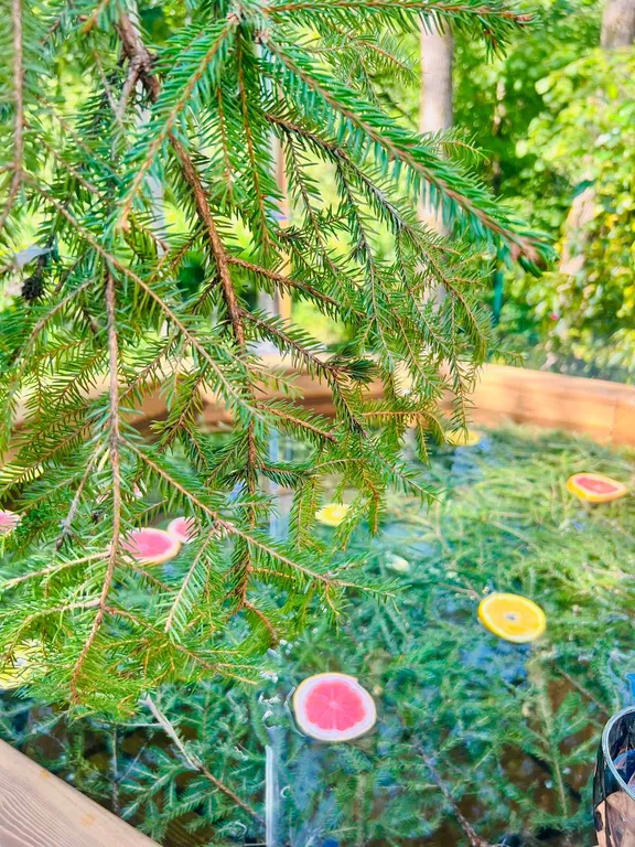 Медвежий угол