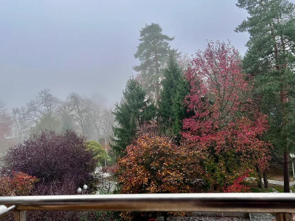 Квартира 3-х комнатная квартира в санаторном парке Горячего ключа — Горячий Ключ