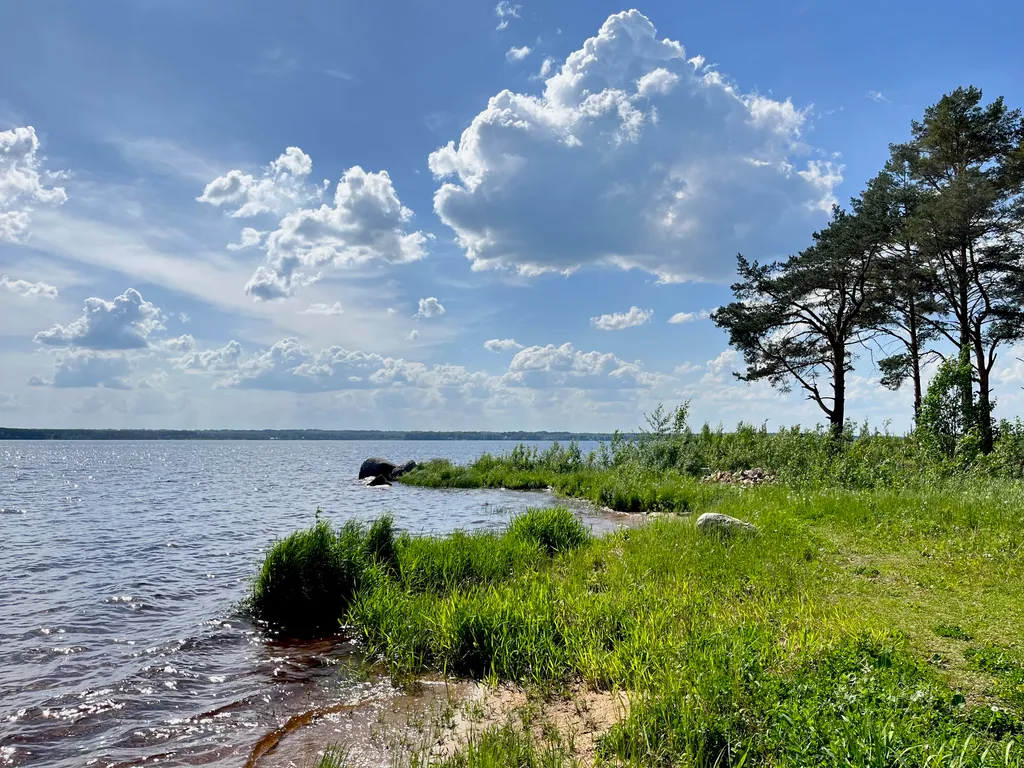 Коттедж Коттедж Гармония леса на берегу озера Волго на Селигере — Турбаза Чайка