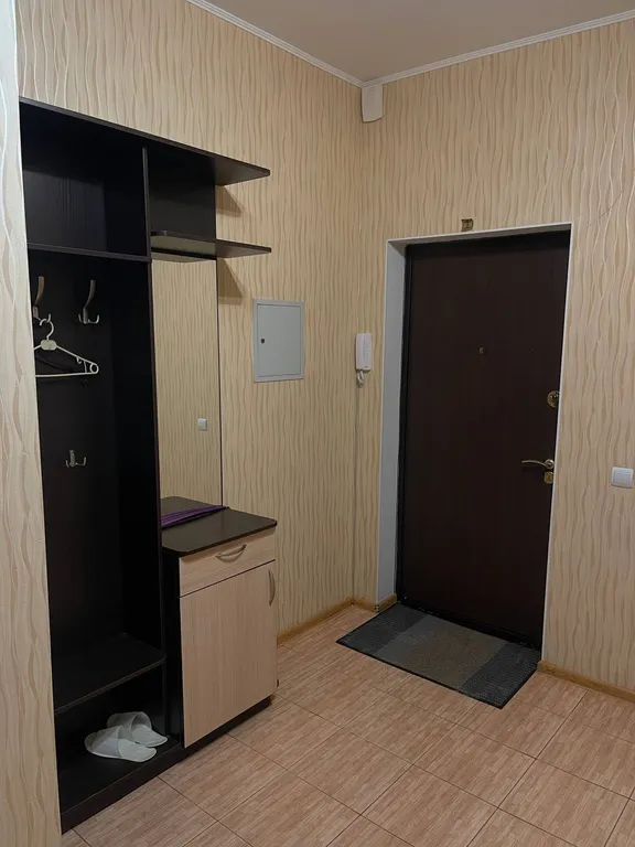 Квартира в центре города с видом на парк Пушкина у метро