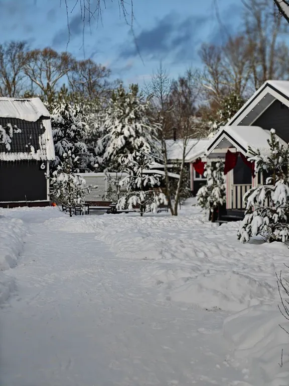 Дом с видом на реку и лес