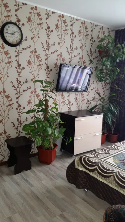 Уютная квартира-студия