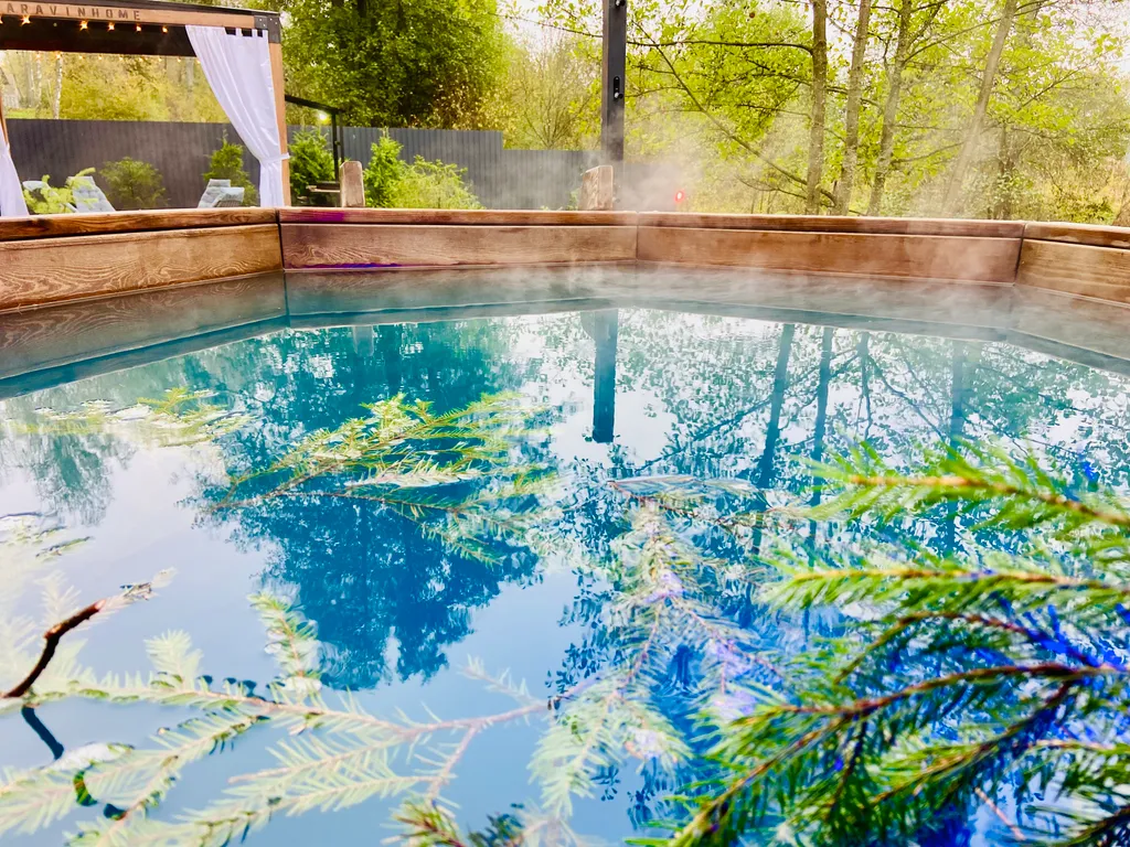 Дом в стиле Barn house в окружении леса