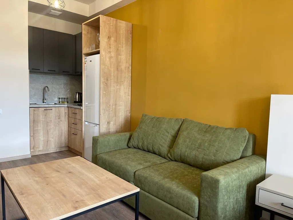 Красивая квартира-студия с видом на горы