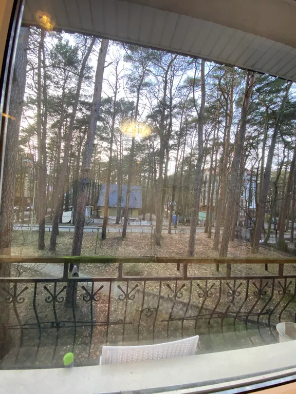 Уютная квартира в центре Светлогорского курорта