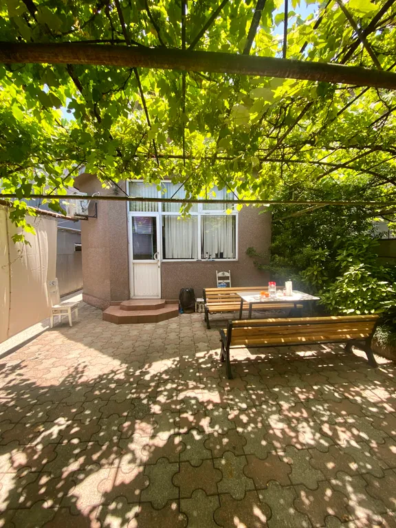 Grape house with sauna