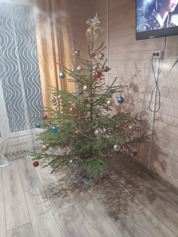 Коттедж Загородный дом с видом на поле и лес — Санкт-Петербург