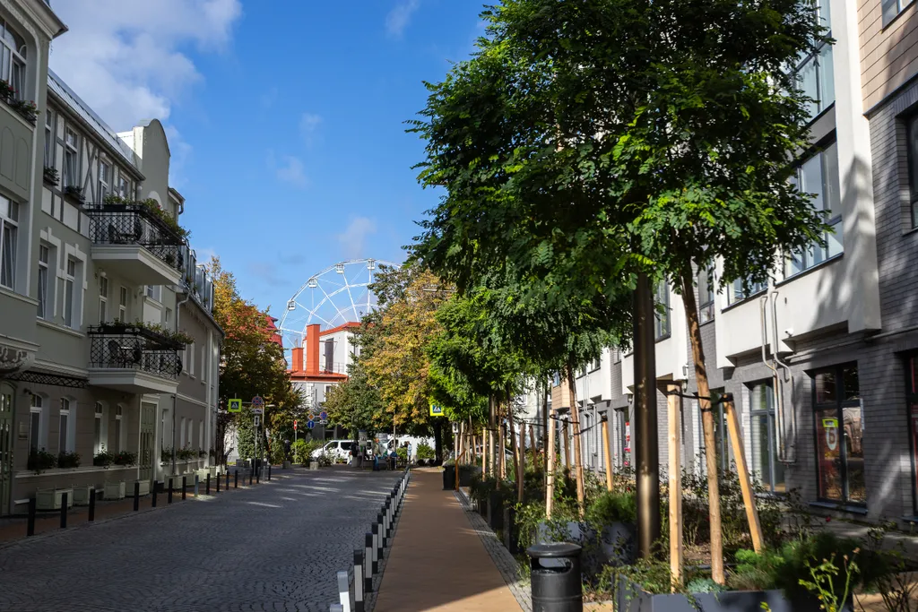 Квартира Квартира  у моря в центре Зеленоградска (до пляжа 300 м) — Зеленоградск