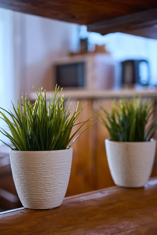 Гуси Лебеди