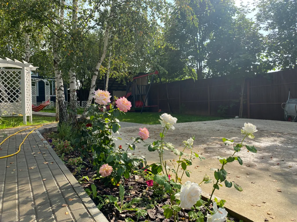 Снегири&Синички