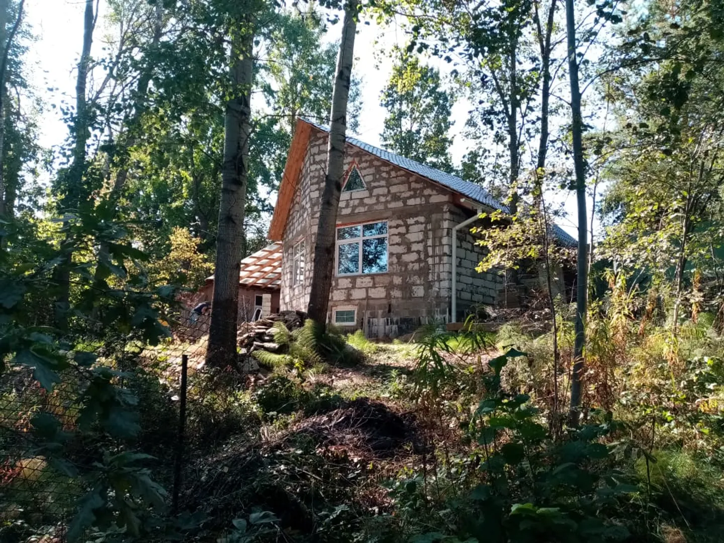 Вид со стороны озера
