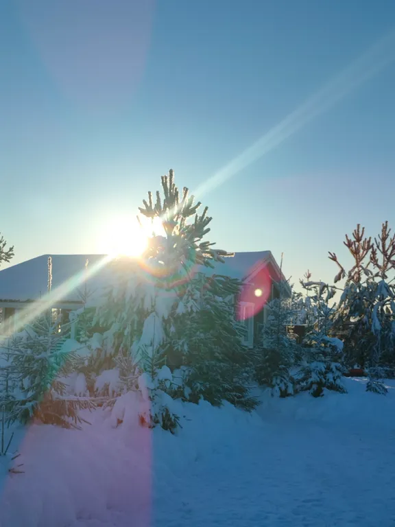 Коттедж Уютный дом у озера — Волосово
