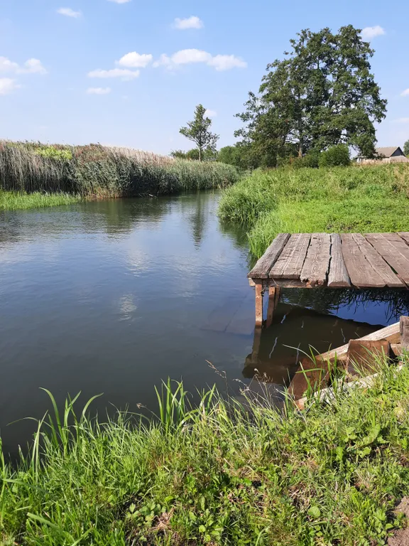 Усадьба со всеми удобствами