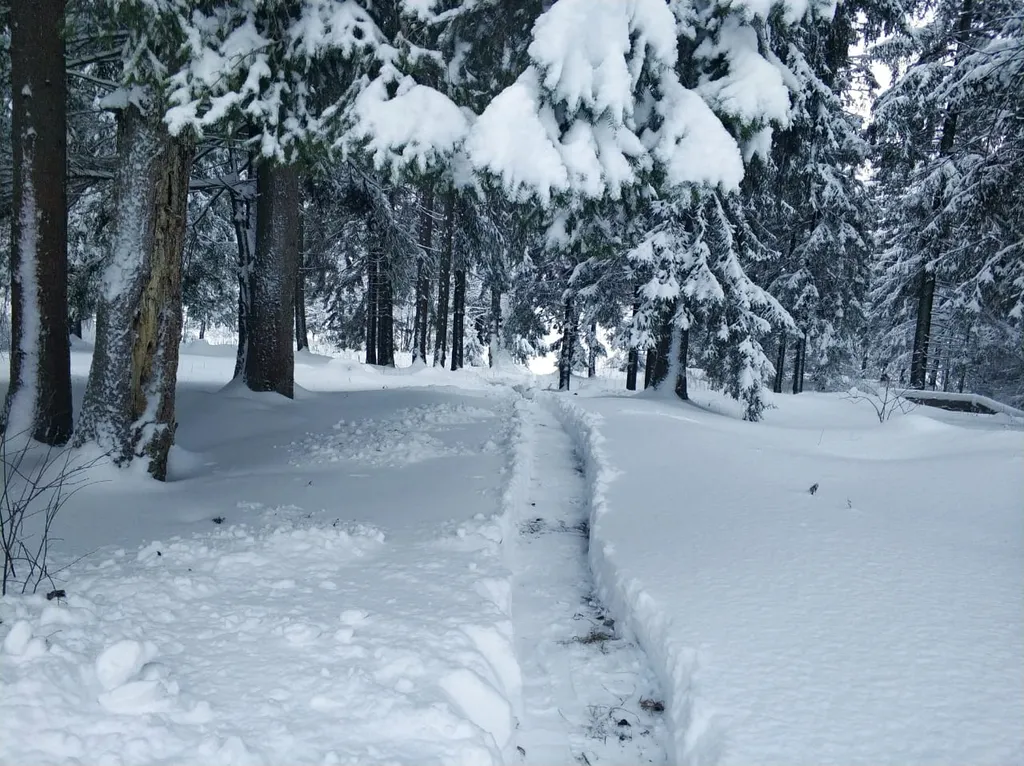 Финский Дом