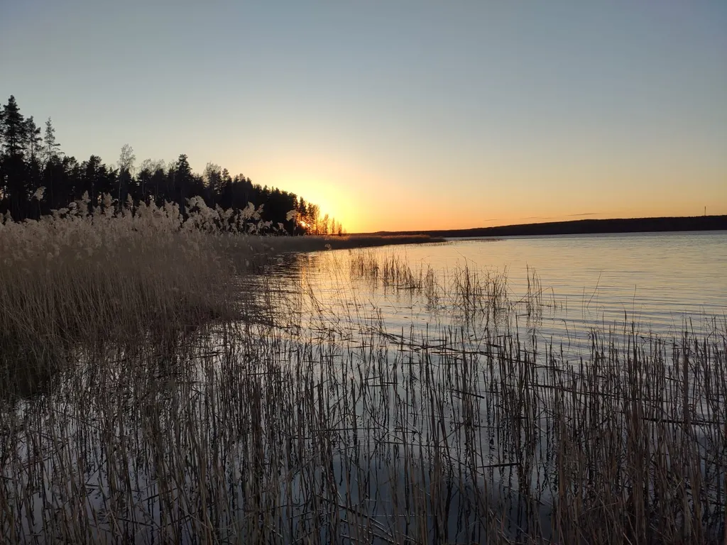Уютный коттедж в сосновом лесу на берегу Суходольского озера