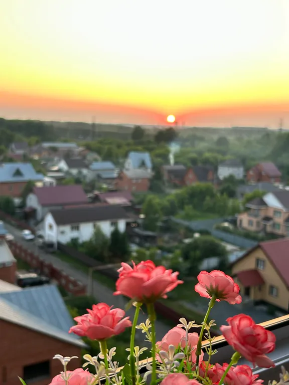 Квартира Уютная квартира в новом ЖК возле аэропорта Новосибирска — Обь