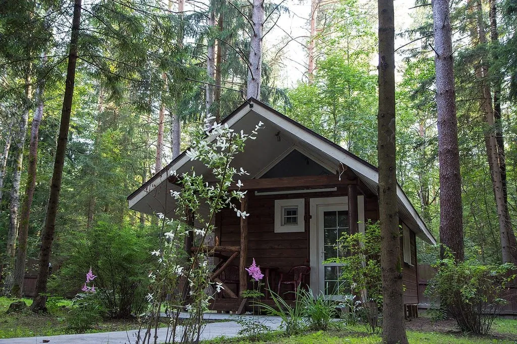 Изба Лесная