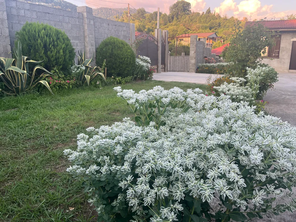 Гостевой дом У Химы номер комфорт четырехместный