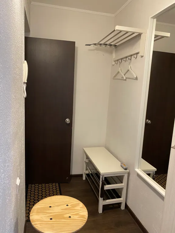 Квартира Стильная 1-комнатная квартира в центре города — Красноярск